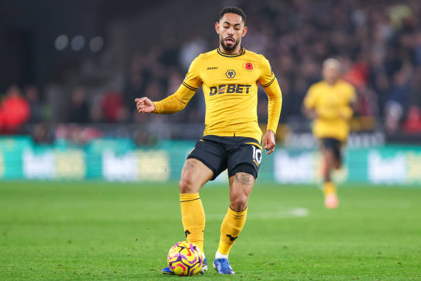 众多粉丝 众多粉丝