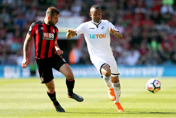 希望未来的 希望未来的